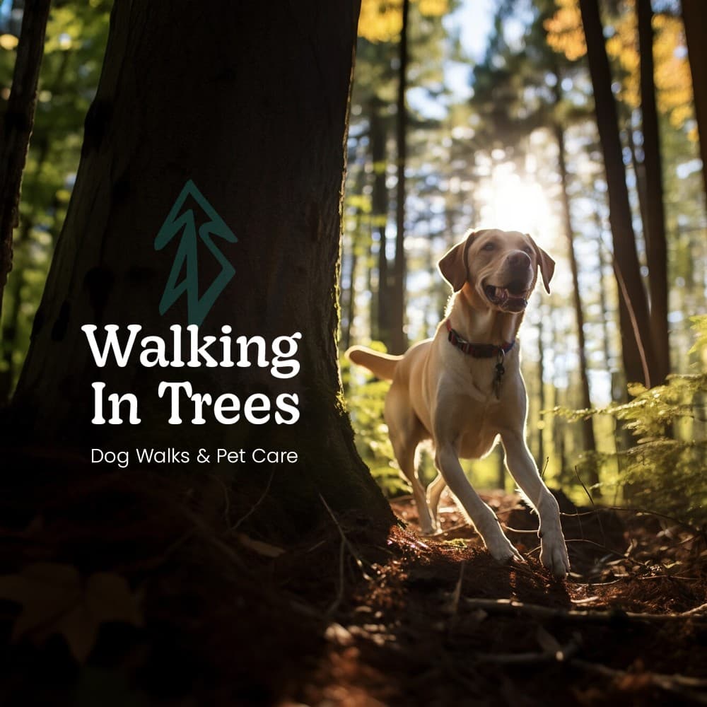 A yellow Labrador on a sunlit forest path beside a tree trunk carrying the Walking in Trees mark and wordmark.